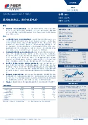 2019年中报点评：盈利短期承压，提价改善吨价