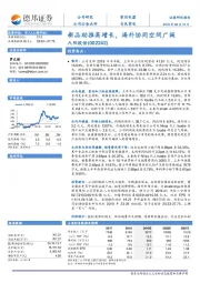 新品助推高增长，海外协同空间广阔