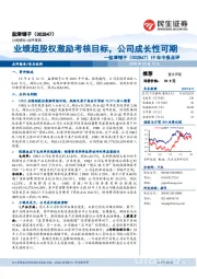 19年中报点评：业绩超股权激励考核目标，公司成长性可期