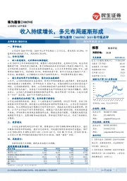 2019年中报点评：收入持续增长，多元布局逐渐形成