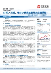 19年中报点评:Q2收入回暖,看好小黄袋放量带来业绩弹性