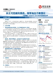 2019年半年度报告点评：自主可控顺利推进，领军地位不断强化