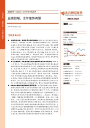 2019年半年报点评：业绩回暖，全年复苏有望