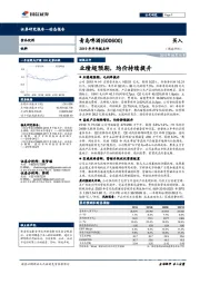 2019年半年报点评：业绩超预期，均价持续提升