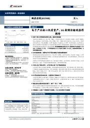 2019年中报：电子产业核心优质资产，5G射频传输线值得期待