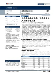 2019年中报业绩点评:上半年业绩超预期,下半年关注产业链价格反弹