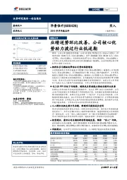2019年半年报点评:业绩逆势环比改善,公司核心优势助力渡过行业低迷期