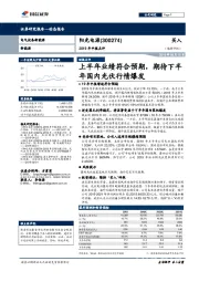 2019年中报点评：上半年业绩符合预期，期待下半年国内光伏行情爆发