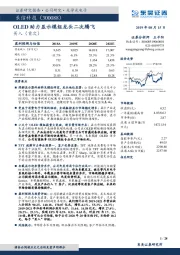 OLED助力显示模组龙头二次腾飞