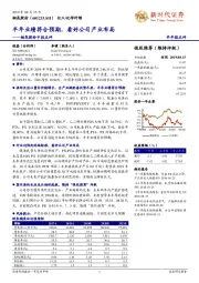 桐昆股份中报点评：半年业绩符合预期，看好公司产业布局