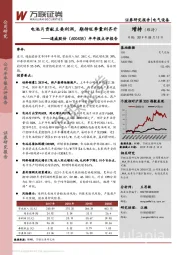 半年报点评报告：电池片贡献主要利润，期待旺季量利齐升