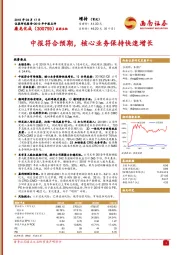 中报符合预期，核心业务保持快速增长