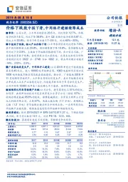 价格下跌致中报下滑，中间体开建继续降成本