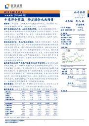 中报符合预期,沸石提供未来增量