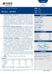 深度研究报告：国内龙头，海外绽放