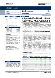 2019年中报点评:北美市场拖累中报业绩,国内收入稳步增长、臂式产品快速放量