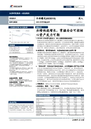 2019年半年报点评:业绩快速增长,掌握安全可控核心资产发力可期