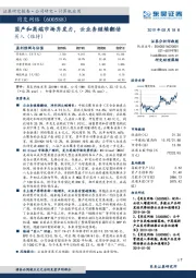 国产和高端市场齐发力，云业务继续翻倍