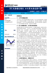 半年报点评：IDC业务稳定增长 云计算业务发展可期