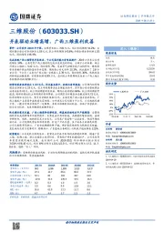 并表驱动业绩高增，广西三维盈利改善
