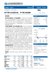 国产替代化进程加速，半年报业绩亮眼