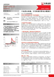 中报符合预期，中间体涨价带动业绩提升