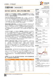 选矿技改+盐湖开发,看好公司长期潜力释放