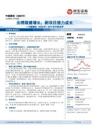 2019年中报点评:业绩稳健增长,新项目接力成长