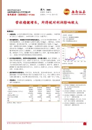 营收稳健增长，所得税对利润影响较大