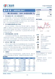 稀土同比跌价，19H1归母净利降7%