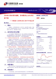 2019年中报点评:2019H1营收增长稳健,坚持聚焦主业未来发展可期