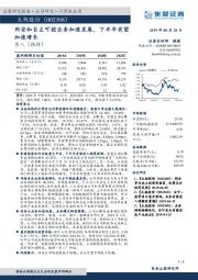 网安和自主可控业务加速发展，下半年有望加速增长