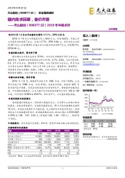 2019年中报点评：疆内需求回暖，量价齐增