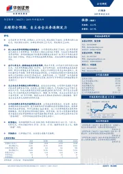 2019年中报点评：业绩符合预期，自主安全业务逐渐发力