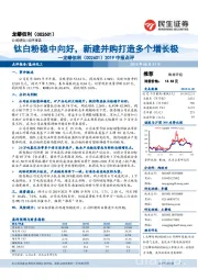 2019中报点评:钛白粉稳中向好,新建并购打造多个增长极