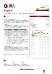 1H19业绩扭亏为盈，配网及特高压驱动成长