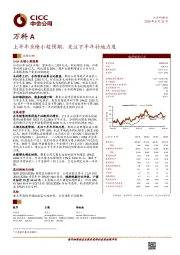 上半年业绩小超预期，关注下半年补地力度