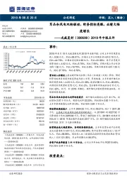 2019年中报点评：军品和风电双轮驱动，财务指标亮眼，业绩大幅度增长