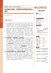 2019年半年报点评：业绩增长稳健，产能释放保障盈利稳步提升