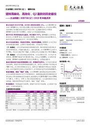 2019年中报点评：坚持高端化、高效化，Q2盈利创历史最佳