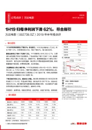 2019年半年报点评：1H19归母净利润下滑62%，符合指引