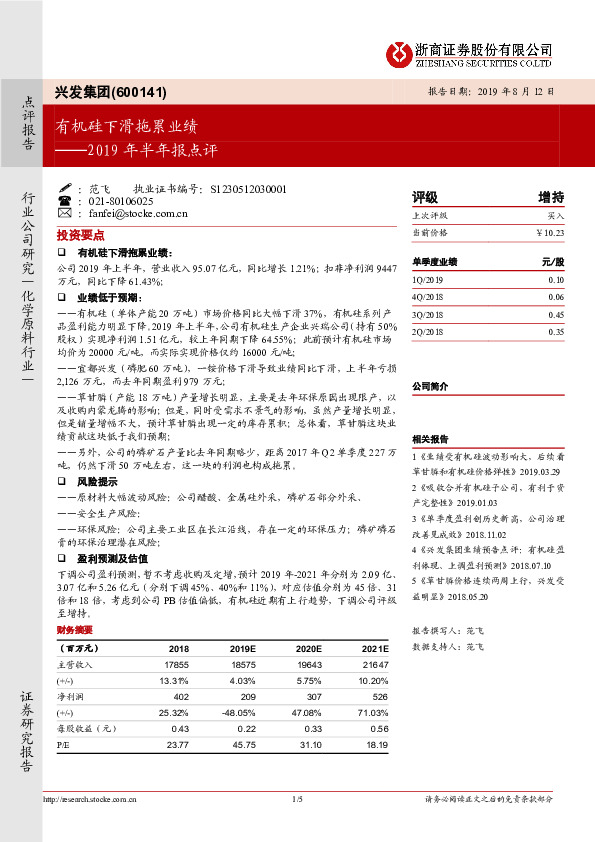 2019年半年报点评：有机硅下滑拖累业绩