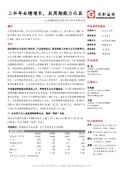 2019年半年报点评：上半年业绩增长，抗周期能力凸显