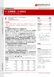 比亚迪2019中报点评：H1业绩靓丽，H2将承压