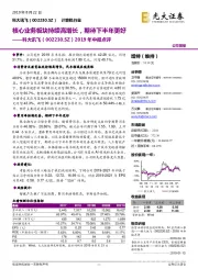 2019年中报点评：核心业务板块持续高增长，期待下半年更好