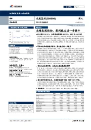 2019年中报点评：业绩表现强劲，盈利能力进一步提升