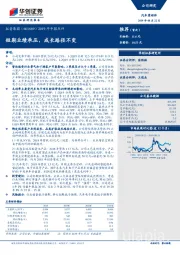 2019年中报点评：短期业绩承压，成长路径不变