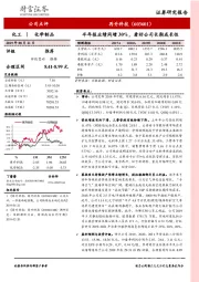 半年报业绩同增30%，看好公司长期成长性