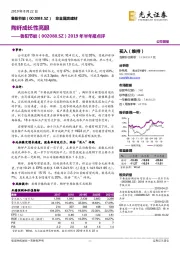 2019年半年报点评：陶纤成长性亮眼