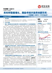 19年中报点评：美味鲜稳健增长，激励考核并施带来新生机